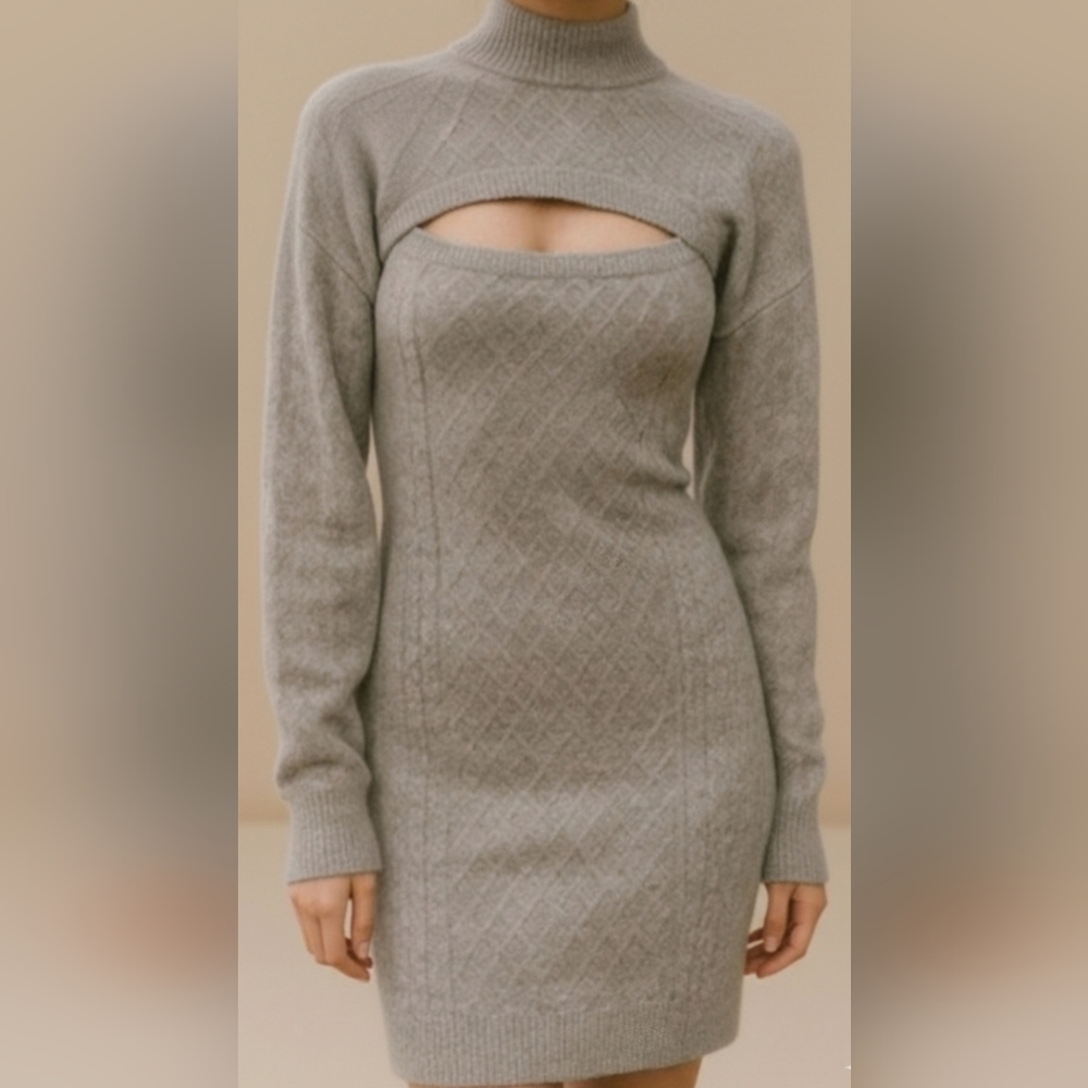 House of Harlow Beige Knit  Sweater Dress With Shrug